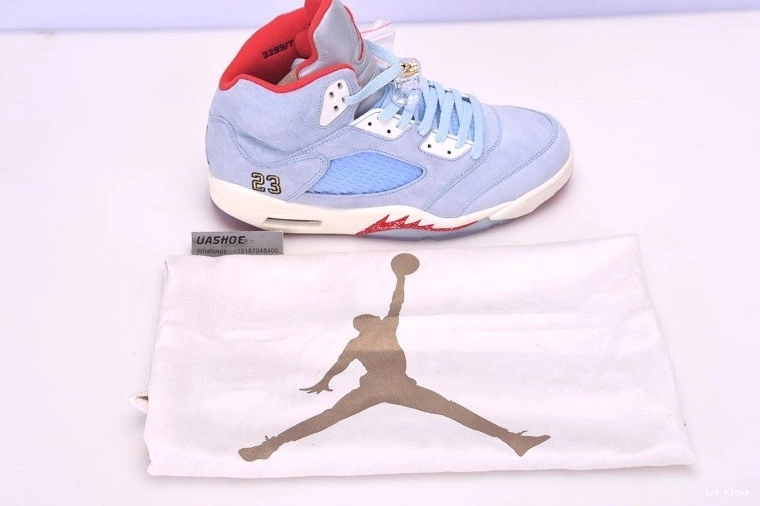 400 Trophy CI1899 Ice 5   Retro Jordan - Blue Room 0417